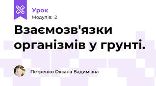 Взаємозв'язки організмів у грунті.