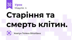 Старіння та смерть клітин.