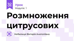 Розмноження цитрусових