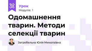 Одомашнення тварин. Методи селекції тварин