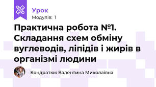 Практична робота №1. Складання схем обміну вуглеводів, ліпідів і жирів в організмі людини