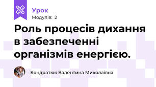 Роль процесів дихання в забезпеченні організмів енергією.