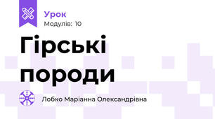 Гірські породи