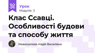 Клас Ссавці. Особливості будови та способу життя