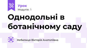 Однодольні в ботанічному саду