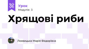 Хрящові риби