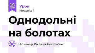 Однодольні на болотах