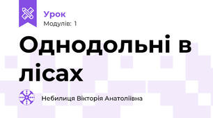 Однодольні в лісах
