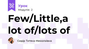 Few/Little,a lot of/lots of