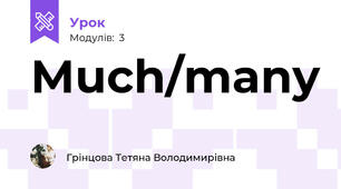 Much/many