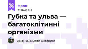 Губка та ульва — багатоклітинні організми