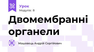 Двомембранні органели