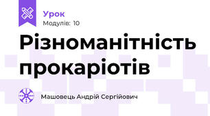 Різноманітність прокаріотів