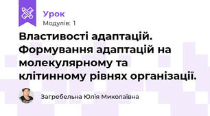 Властивості адаптацій. Формування адаптацій на молекулярному та клітинному рівнях організації. 