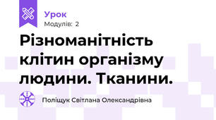  Різноманітність клітин організму людини. Тканини.