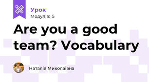 Are you a good team? Vocabulary