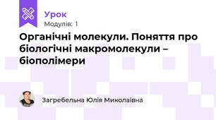 Органічні молекули. Поняття про  біологічні макромолекули – біополімери