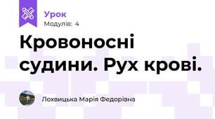 Кровоносні судини. Рух крові.