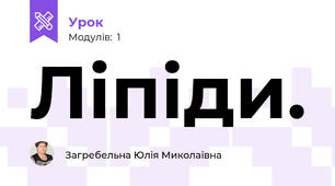 Ліпіди.