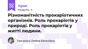 Різноманітність прокаріотичних організмів. Роль прокаріотів у природі. Роль прокаріотів у житті людини.