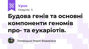 Будова генів та основні компоненти геномів про- та еукаріотів.