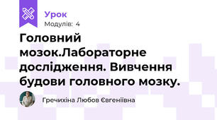 Головний мозок.Лабораторне дослідження. Вивчення будови головного мозку.