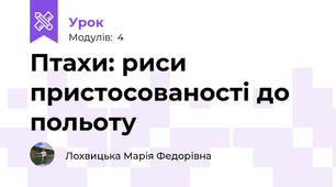 Птахи: риси пристосованості до польоту