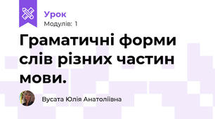 Граматичні форми слів різних частин мови.