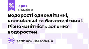 Водорості одноклітинні, колоніальні та багатоклітинні. Різноманітність зелених водоростей. 