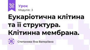 Еукаріотична клітина та її структура. Клітинна мембрана.