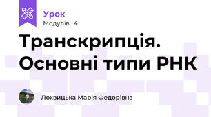 Транскрипція.  Основні типи РНК
