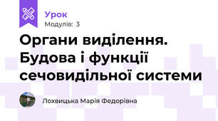 Органи виділення. Будова і функції сечовидільної системи