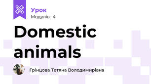 Domestic animals 