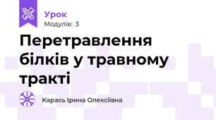 Перетравлення білків у травному тракті