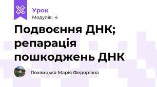 Подвоєння ДНК; репарація пошкоджень ДНК