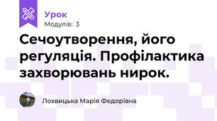 Сечоутворення, його регуляція. Профілактика захворювань нирок.