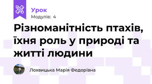 Різноманітність птахів, їхня роль у природі та житті людини