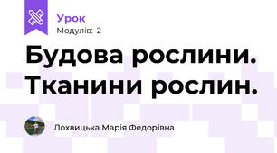 Будова рослини. Тканини рослин.