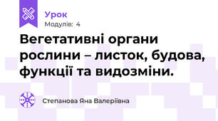 Вегетативні органи рослини – листок, будова, функції та видозміни.