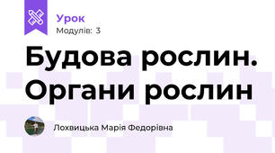 Будова рослин. Органи рослин