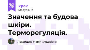 Значення та будова шкіри. Терморегуляція.