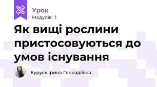 Як вищі рослини пристосовуються до умов існування