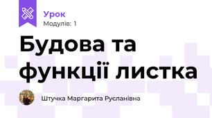 Будова та функції листка