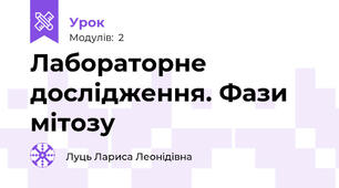 Лабораторне дослідження. Фази мітозу