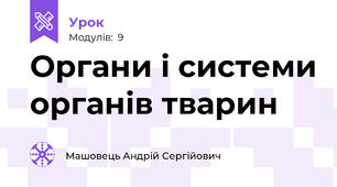Органи і системи органів тварин
