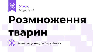 Розмноження тварин