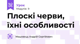 Плоскі черви, їхні особливості