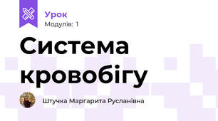 Система кровобігу