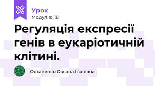 Регуляція експресії генів в еукаріотичній клітині.