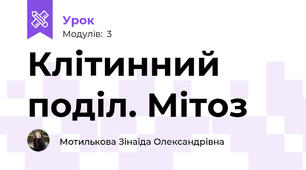 Клітинний поділ. Мітоз